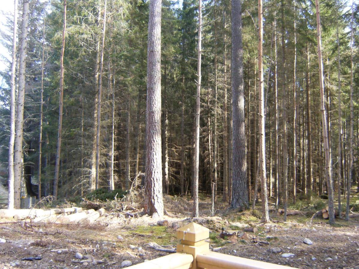Cairngorm Lodges Aboyne Esterno foto