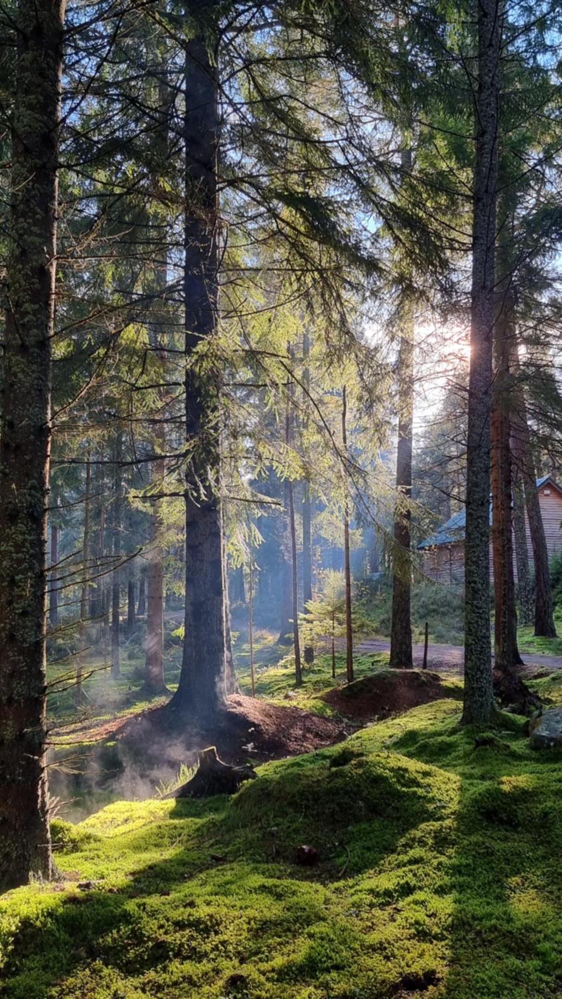 Cairngorm Lodges Aboyne Esterno foto