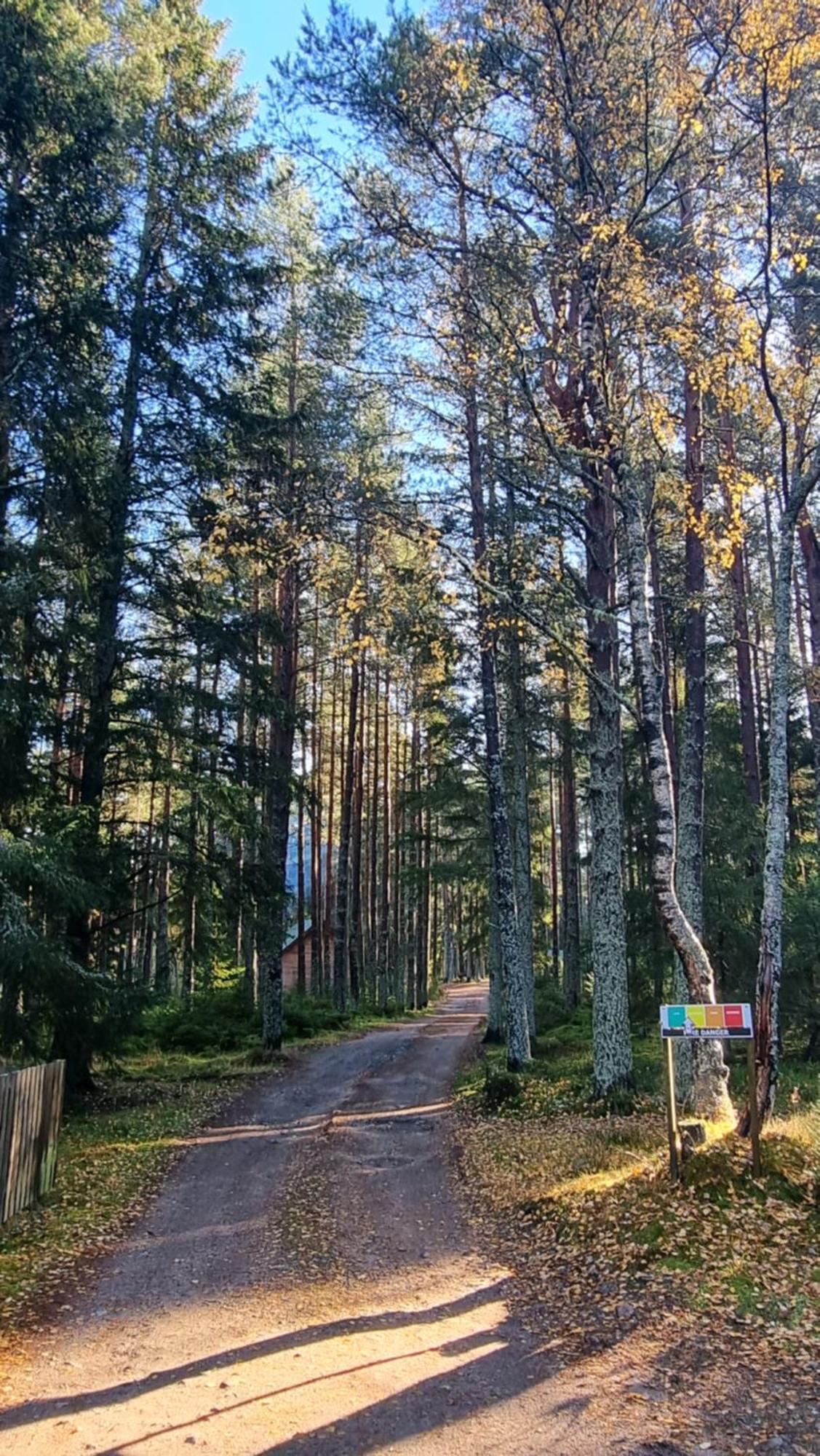 Cairngorm Lodges Aboyne Esterno foto